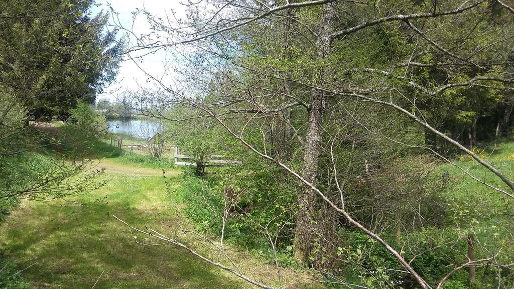 Camping De Flechat Hotel Orcival Luaran gambar